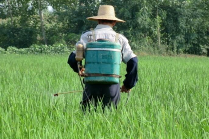農(nóng)用無(wú)人機(jī)，飛防服務(wù)，植保無(wú)人機(jī)